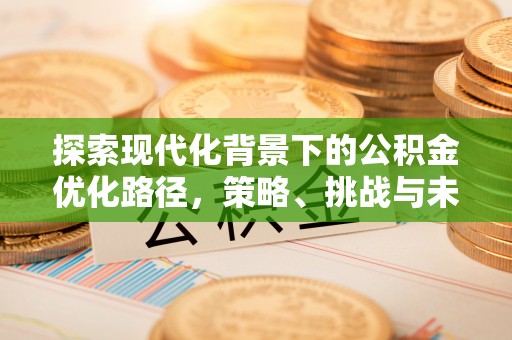 屏边探索现代化背景下的公积金优化路径，策略、挑战与未来展望