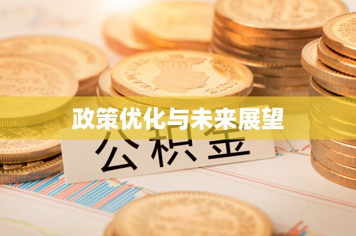 屏边政策优化与未来展望