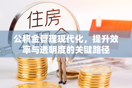 屏边公积金管理现代化，提升效率与透明度的关键路径