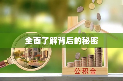 屏边全面了解背后的秘密
