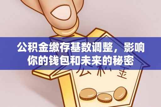 屏边公积金缴存基数调整，影响你的钱包和未来的秘密