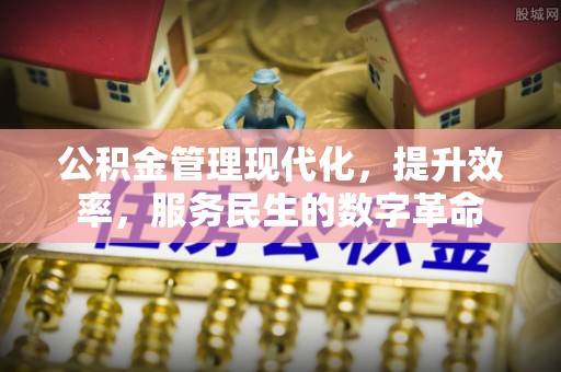 屏边公积金管理现代化，提升效率，服务民生的数字革命