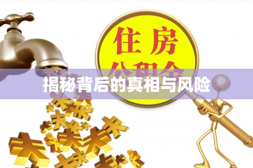 屏边揭秘背后的真相与风险