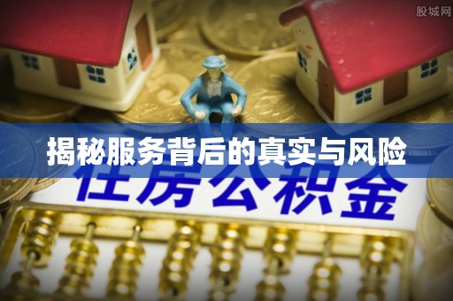 屏边揭秘服务背后的真实与风险
