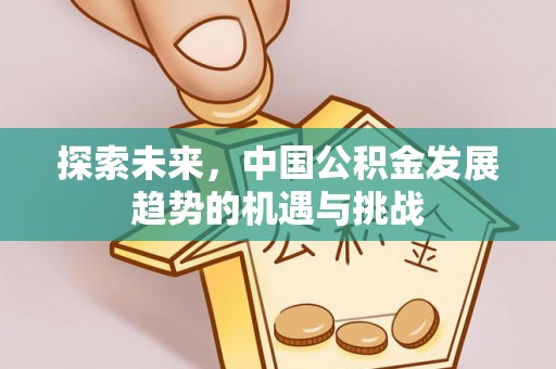 屏边探索未来，中国公积金发展趋势的机遇与挑战