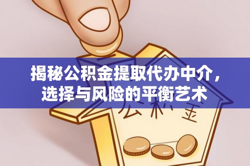 屏边揭秘公积金提取代办中介，选择与风险的平衡艺术