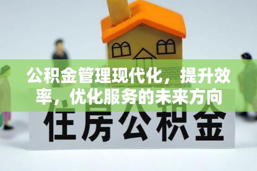 屏边公积金管理现代化，提升效率，优化服务的未来方向