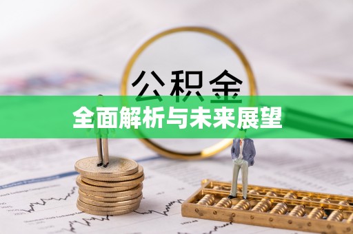 屏边全面解析与未来展望