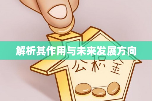 屏边解析其作用与未来发展方向