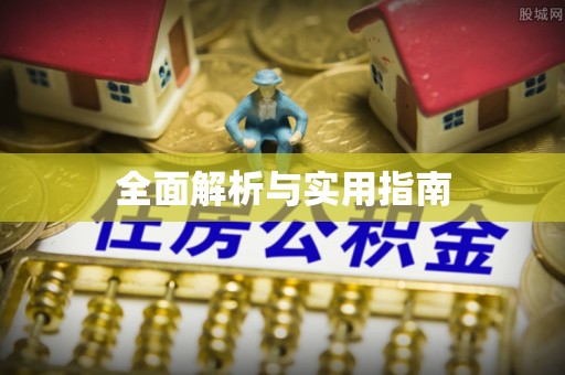 屏边全面解析与实用指南