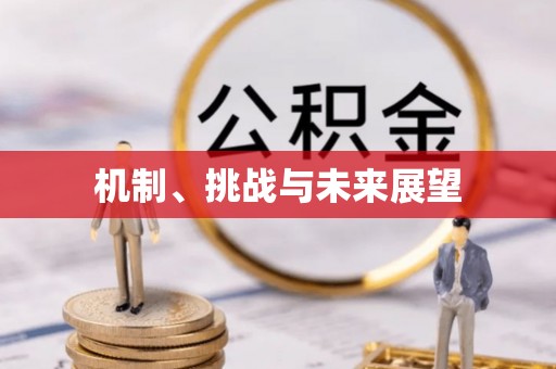 屏边机制、挑战与未来展望