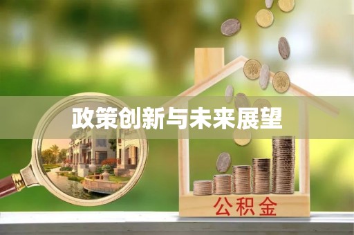 屏边政策创新与未来展望
