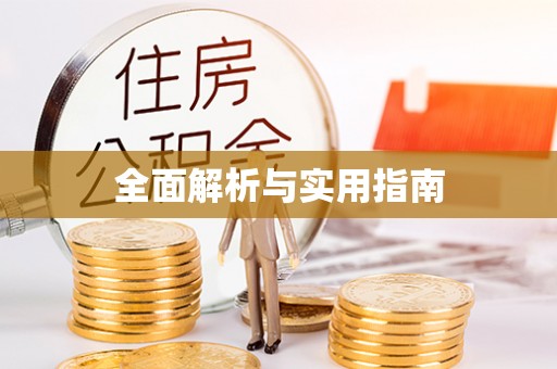 屏边全面解析与实用指南