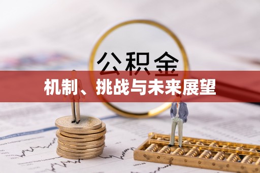屏边机制、挑战与未来展望